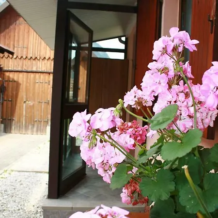 Holiday home Casetta Alex Desiree